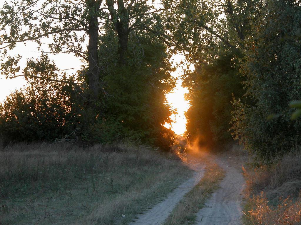 Agroturystyka U Ostrowskich Vila Chartow Exterior foto